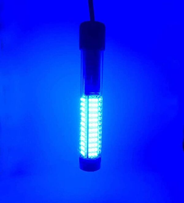 Blue LED 12V Tank Light