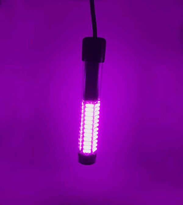 Purple LED 12V Tank Light